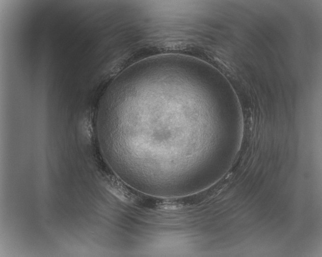 X0000071760746200607071235