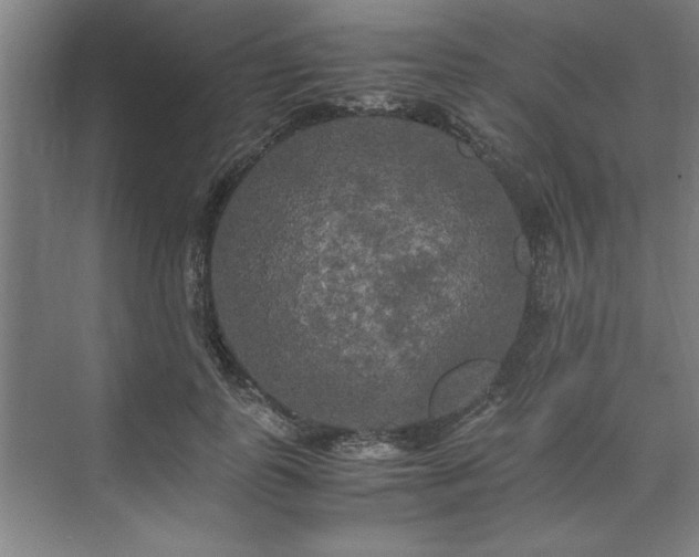 X0000071760747200607071235