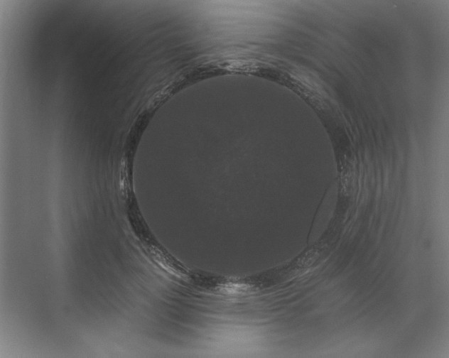 X0000071760748200607071235