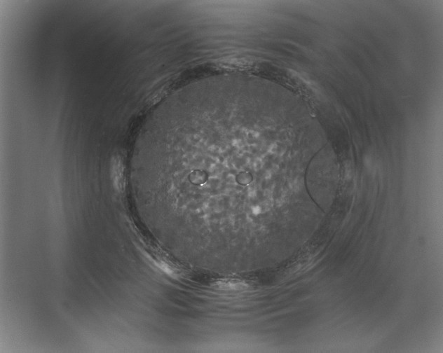 X0000071760749200607071235