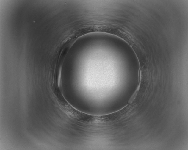 X0000071760750200607071235