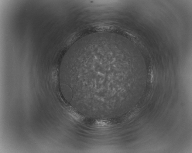 X0000071760753200607071235