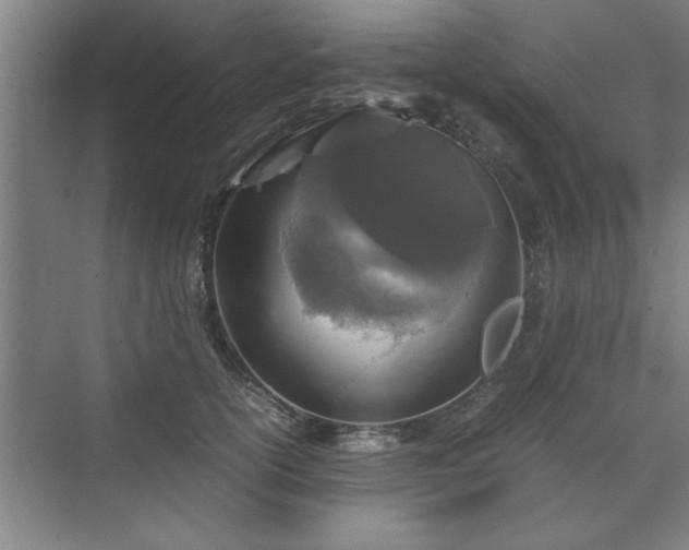 X0000071760754200607071235