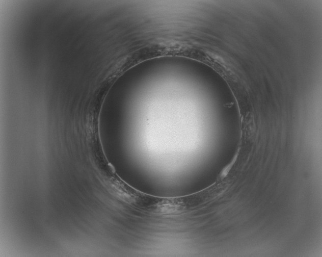 X0000071760756200607071235