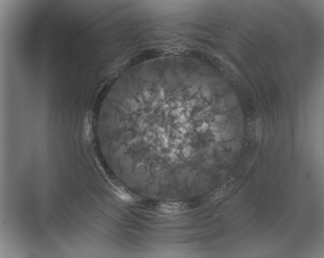 X0000071760757200607071235