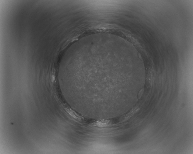 X0000071760758200607071235