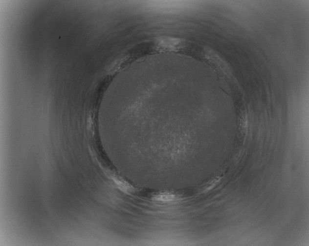 X0000071760759200607071236