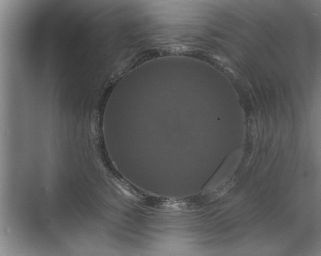 X0000071760760200607071236