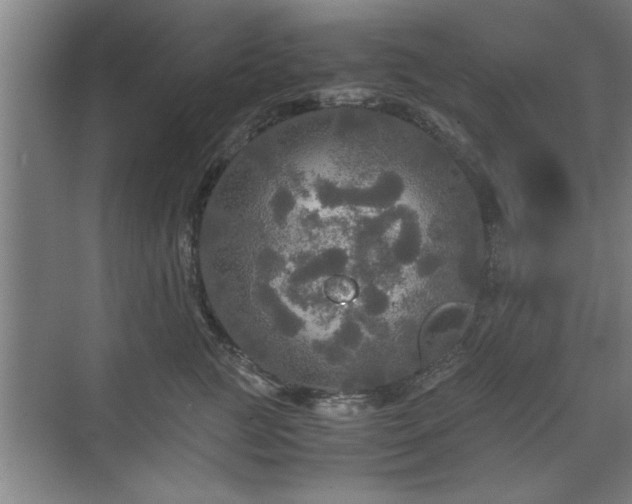 X0000071760761200607071236