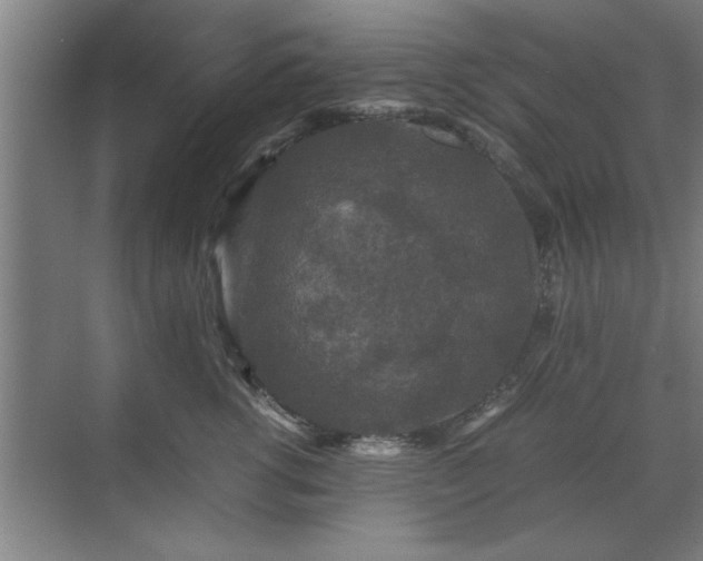 X0000071760762200607071236