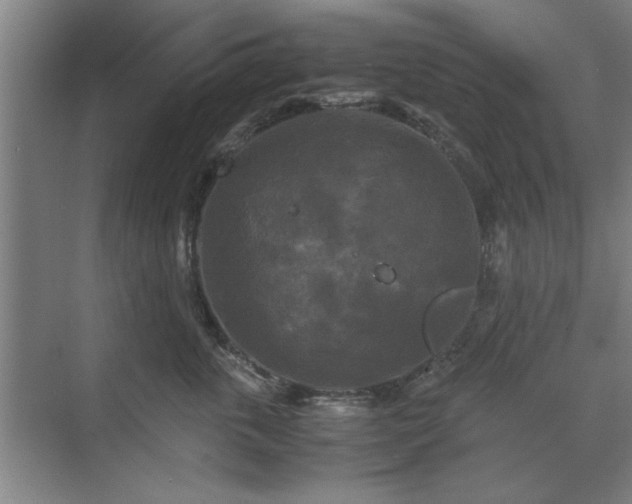 X0000071760763200607071236