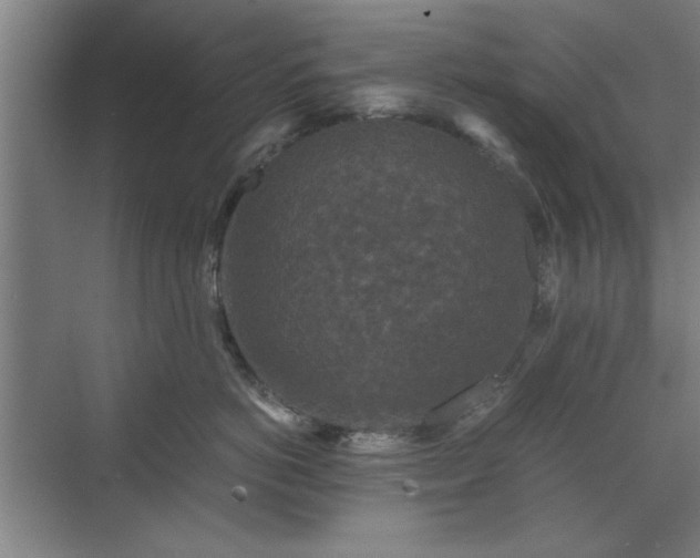 X0000071760766200607071236