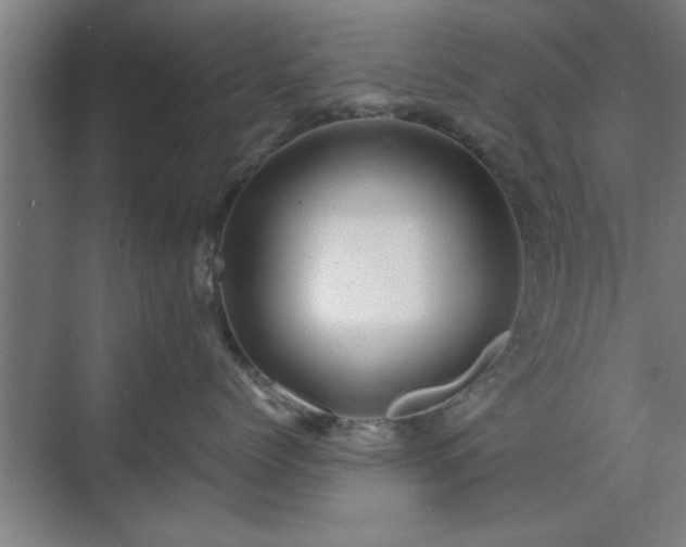 X0000071760768200607071236