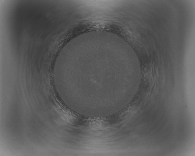 X0000071760769200607071235