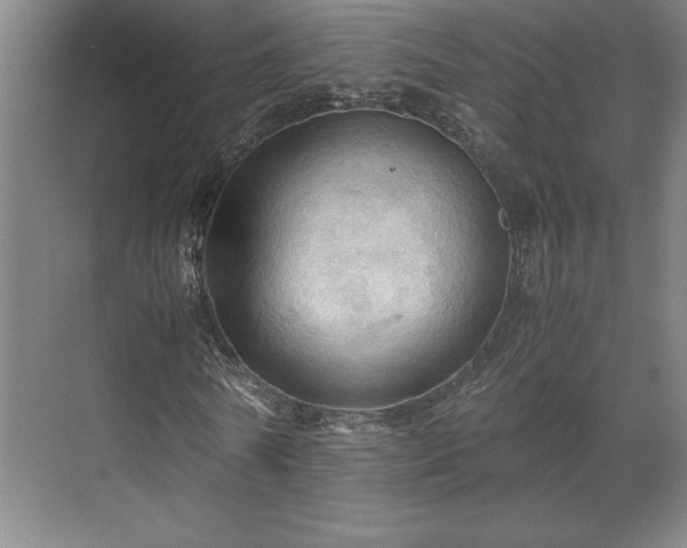 X0000071760770200607071235