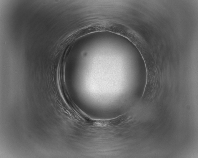 X0000071760773200607071235