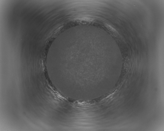 X0000071760774200607071235