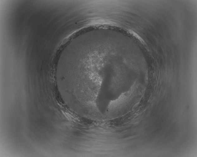 X0000071760775200607071235