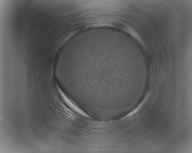 X0000071760777200607071235