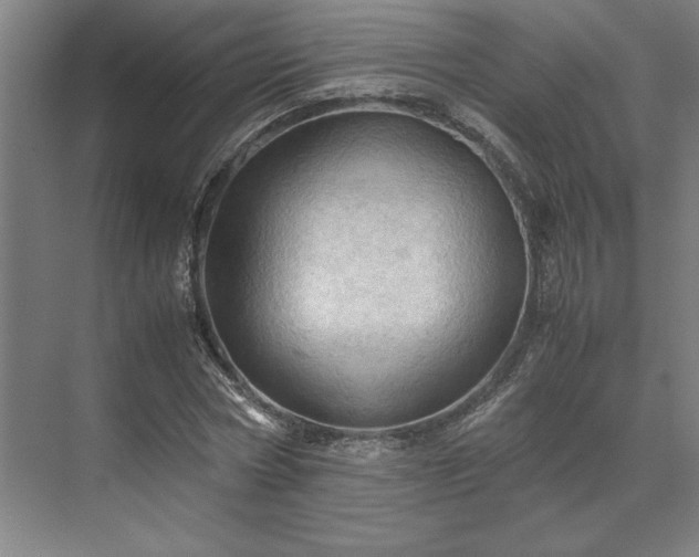 X0000071760778200607071235