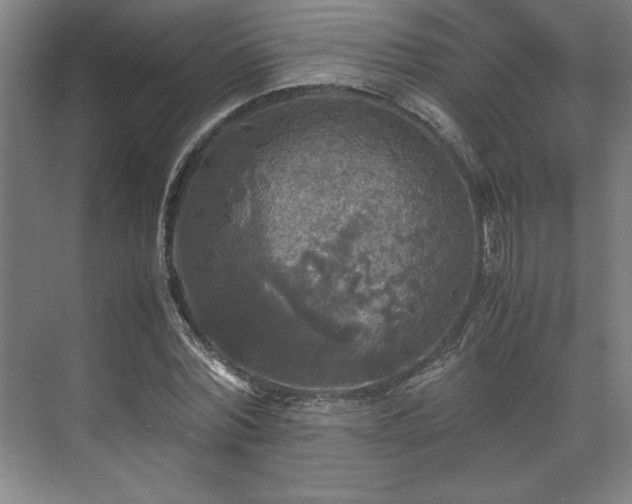 X0000071760780200607071235