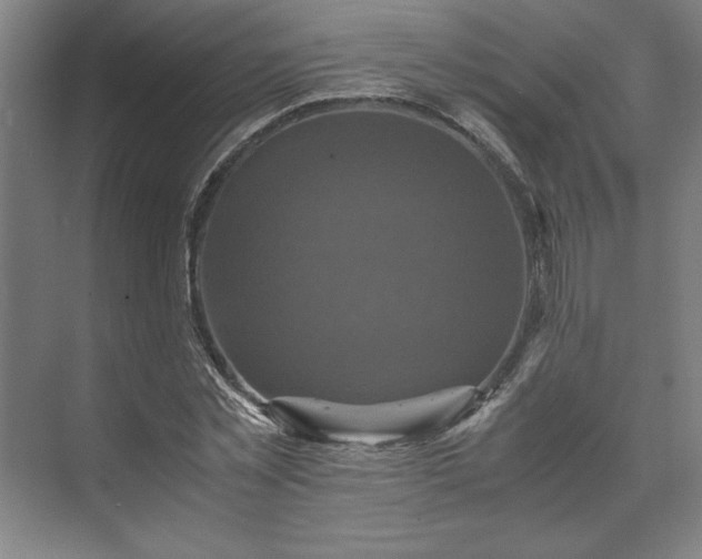 X0000071760781200607071235