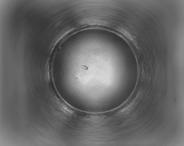 X0000071760782200607071235