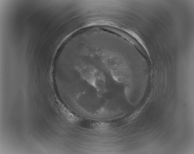 X0000071760783200607071235