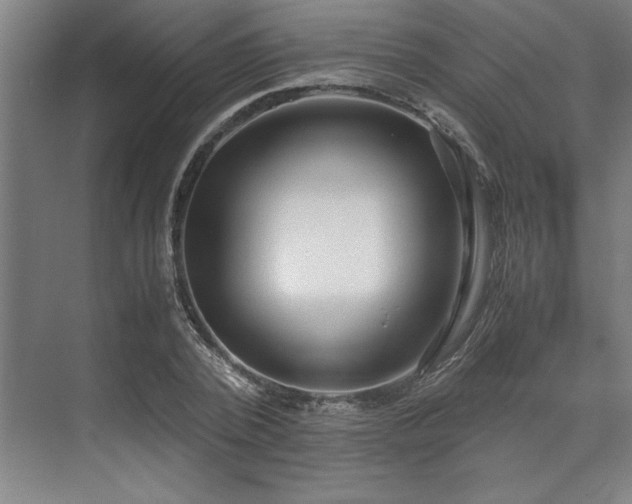 X0000071760784200607071235