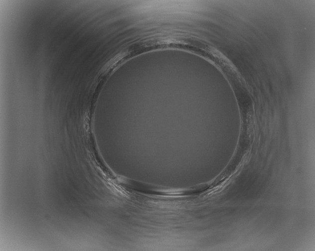 X0000071760785200607071235