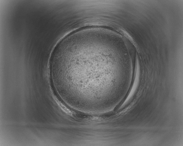 X0000071760787200607071235