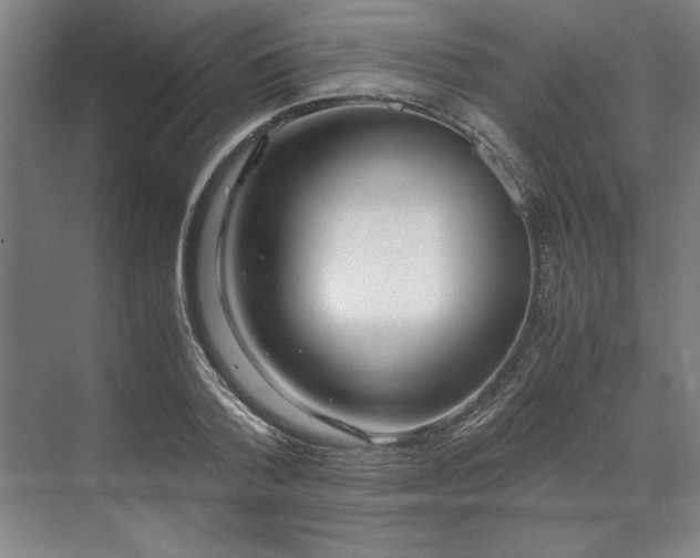 X0000071760788200607071235