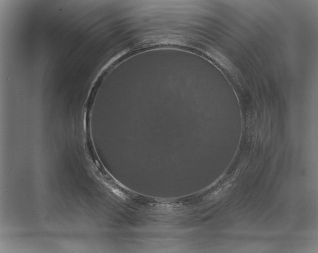 X0000071760790200607071235