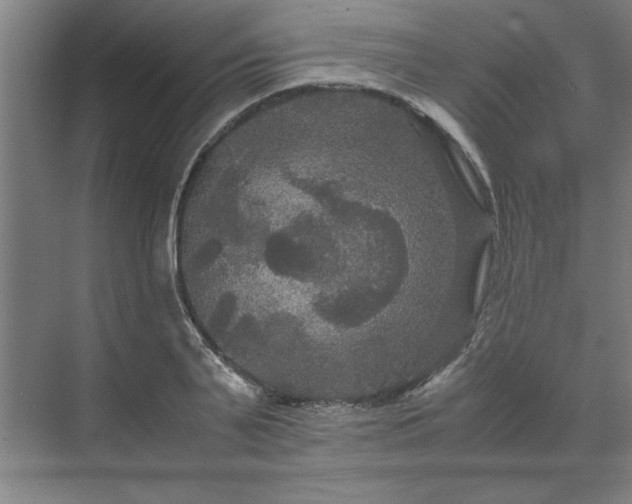 X0000071760791200607071234