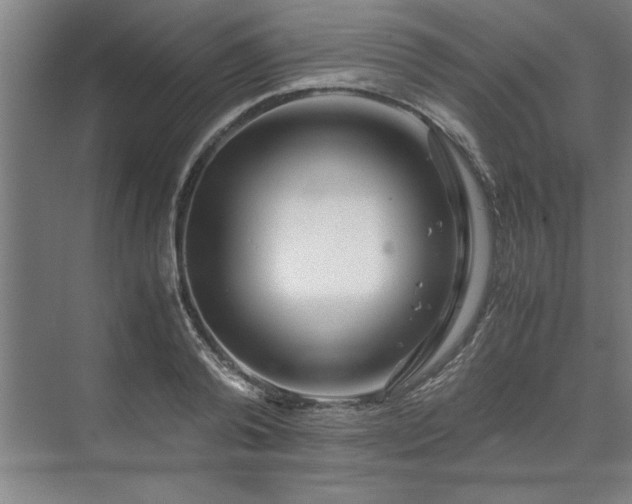 X0000071760792200607071234