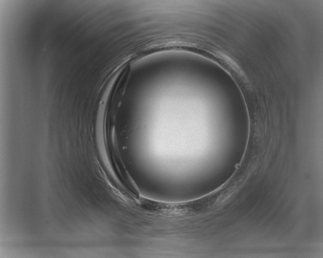 X0000071760793200607071234