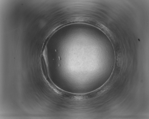 X0000071760794200607071234