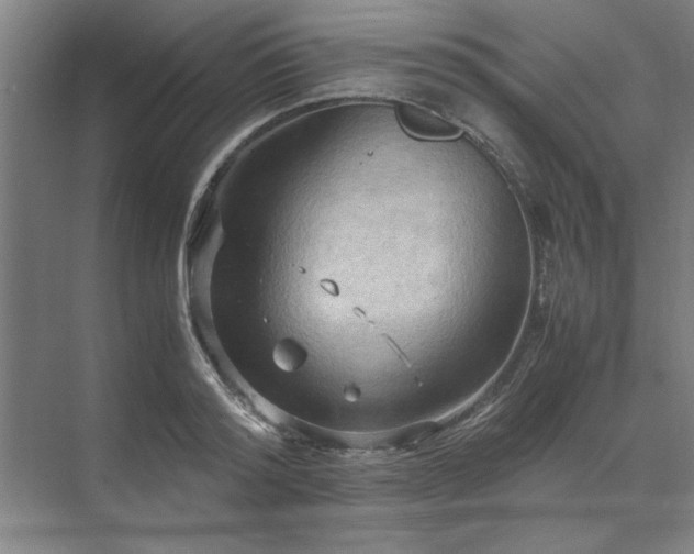 X0000071760796200607071234