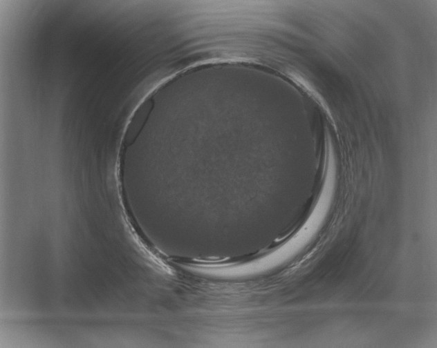 X0000071760797200607071234