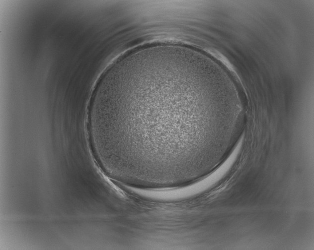 X0000071760799200607071234