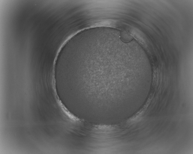 X0000071760800200607071234