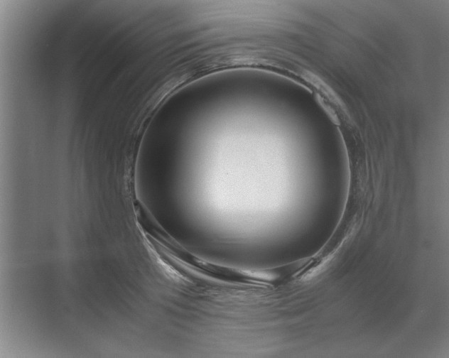 X0000071760801200607071234