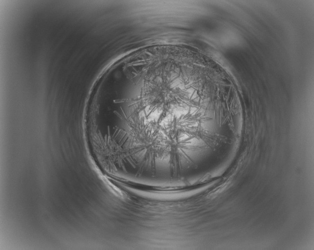 X0000071760803200607071234