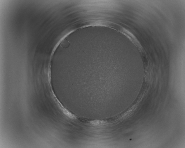 X0000071760804200607071234