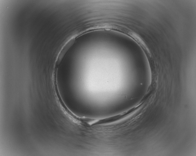 X0000071760805200607071234