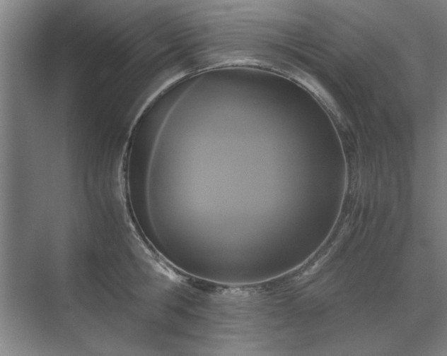 X0000071760806200607071234