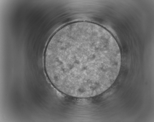 X0000071760807200607071234