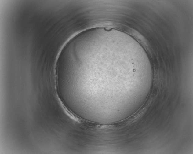 X0000071760808200607071234