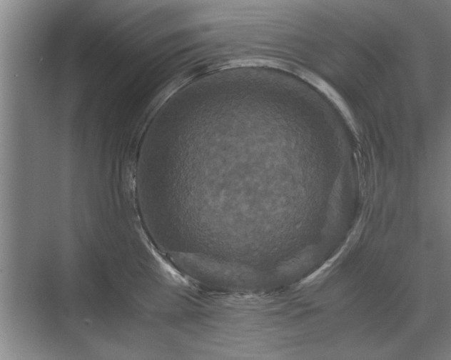 X0000071760809200607071234