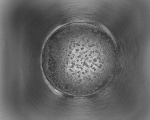 X0000071760811200607071234